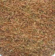 cumin seeds